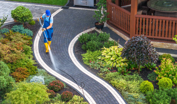 Best Exterior Home Cleaning  in Cutlerville, MI